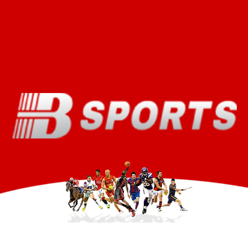 b体育·(中国)官方网站 - Bsport