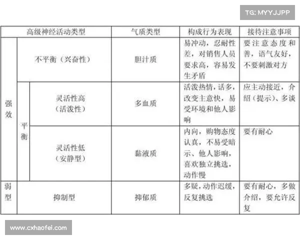 为什么看似无意义的网站能吸引大量访问者背后的心理和行为动因分析