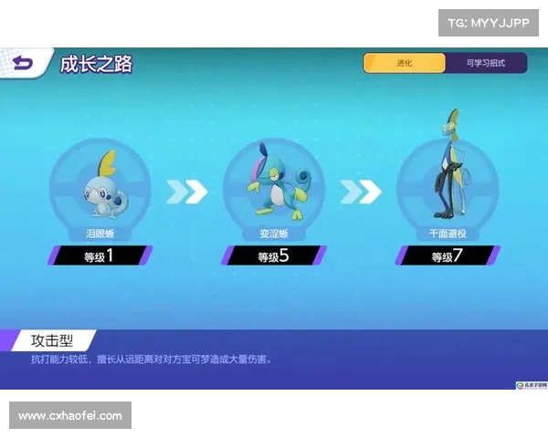 波克比全方位进化解析从幼态到终极形态的成长之路 波克比全方位进化解析从幼态到终极形态的成长之路