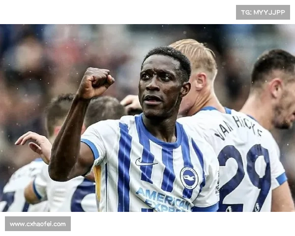 从维尔贝克到黑贝:探索名字背后的文化与历史变迁 从维尔贝克到黑贝:探索名字背后的文化与历史变迁