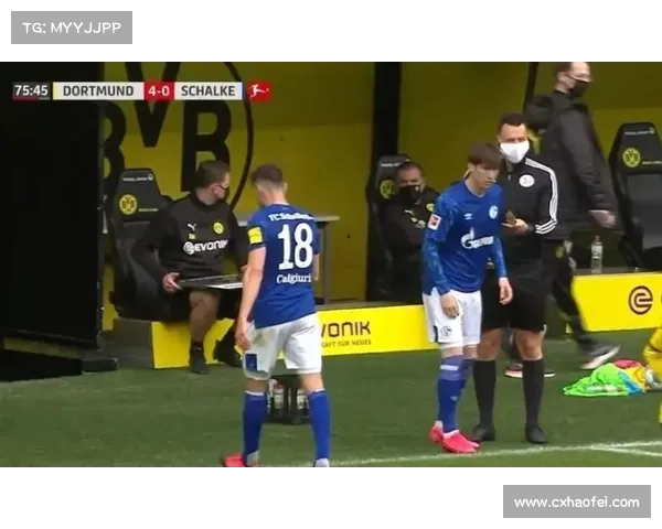 探索葡萄牙足球队独特名称背后的文化与历史渊源