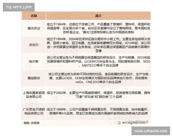 揭开澳洲杯背后的真实水平与竞争格局揭秘