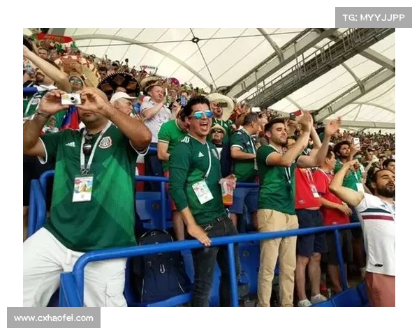 如何畅享世预欧赛事精彩直播与千万球迷一同分享激情时刻