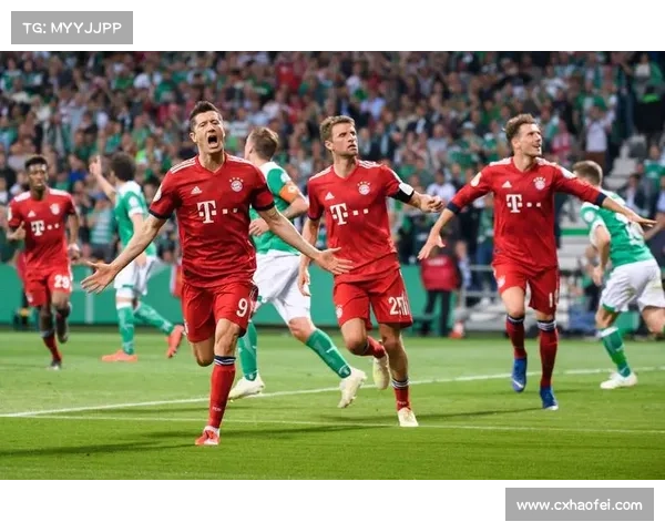 帕利尼亚加盟拜仁决策分析 探讨其转会背后的原因与影响