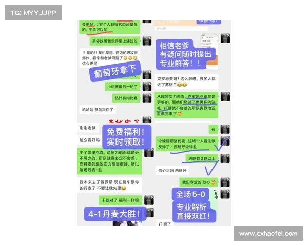 德甲球队竞争与联盟关系深度解析：历史渊源、现状动态与未来趋势