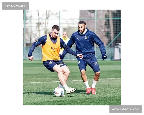 成都蓉城与塞尔维亚超级联赛边锋达成转会协议将增强球队进攻实力