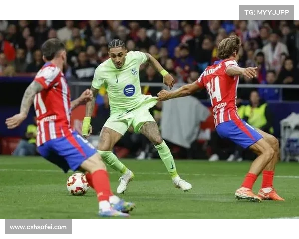 拉菲尼亚与阿根廷球迷互动分析及其对球迷情感的影响探讨