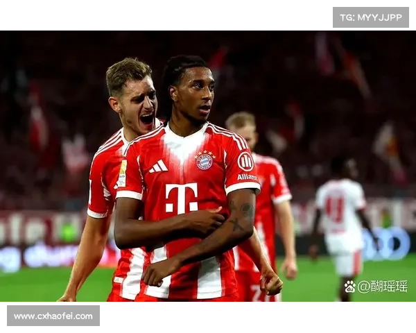 拜仁慕尼黑如何铸就德甲霸主地位背后的成功法则与管理智慧